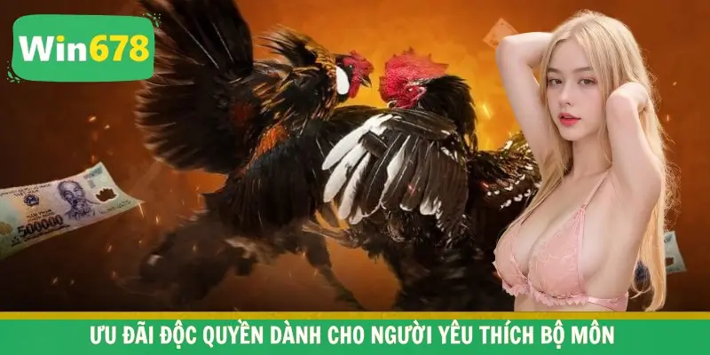 Ưu đãi độc quyền dành cho người yêu thích bộ môn 
